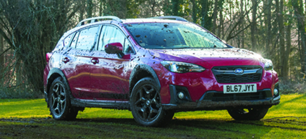 Subaru suv banner