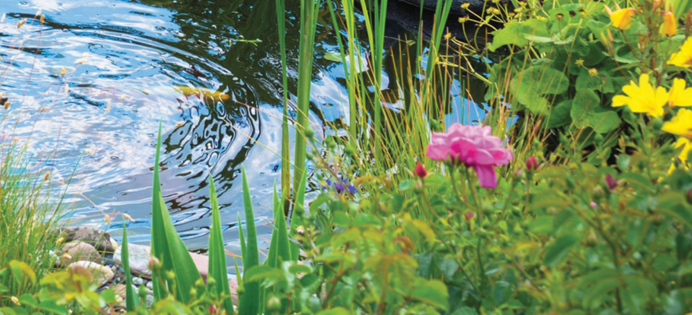 POND WG facebook feed vacationathome pond 1200x1200 01 2020 V1 002