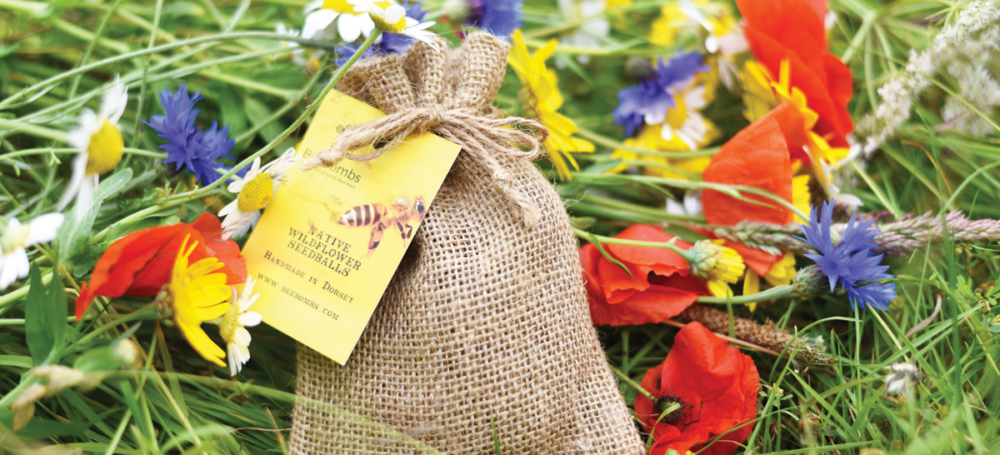 Beebomb Wildflower Seeds 8 Houses of Parliament Shop shop parliament uk lifestyle 002