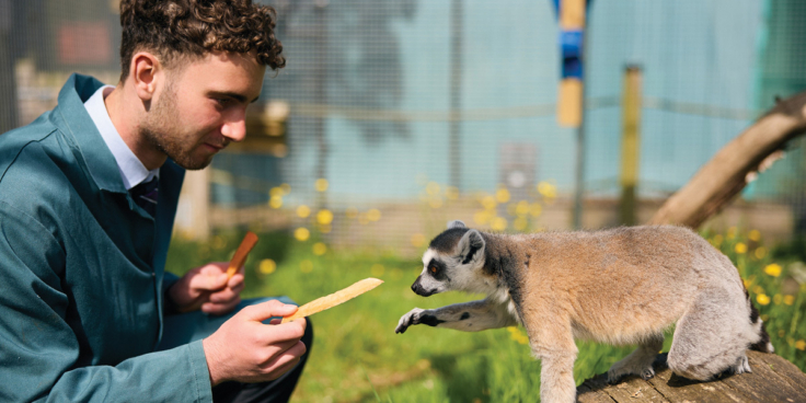 Bedes Zoo Animal Management